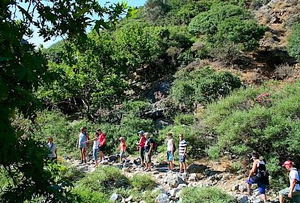  - APOSELEMIS GORGE
