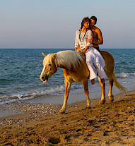  Discover useful info for Arion Stables - Analipsi Travel Guide